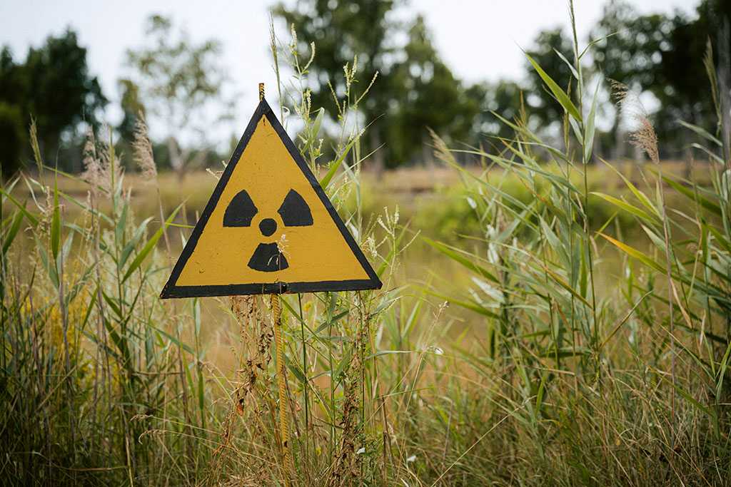 Wiese mit einem dreieckigen Nuklear-Warnschild
